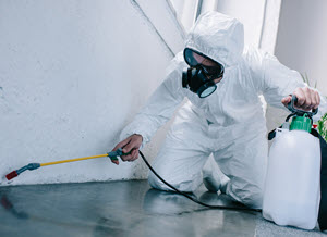 pest control worker spraying pesticides on floor