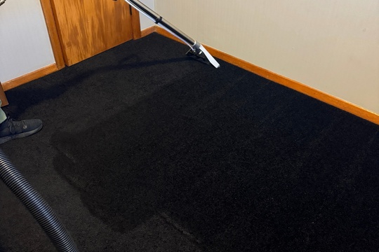 carpet cleaning in Auckland