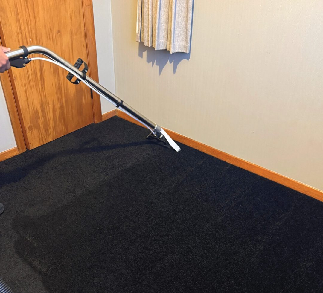 carpet cleaning